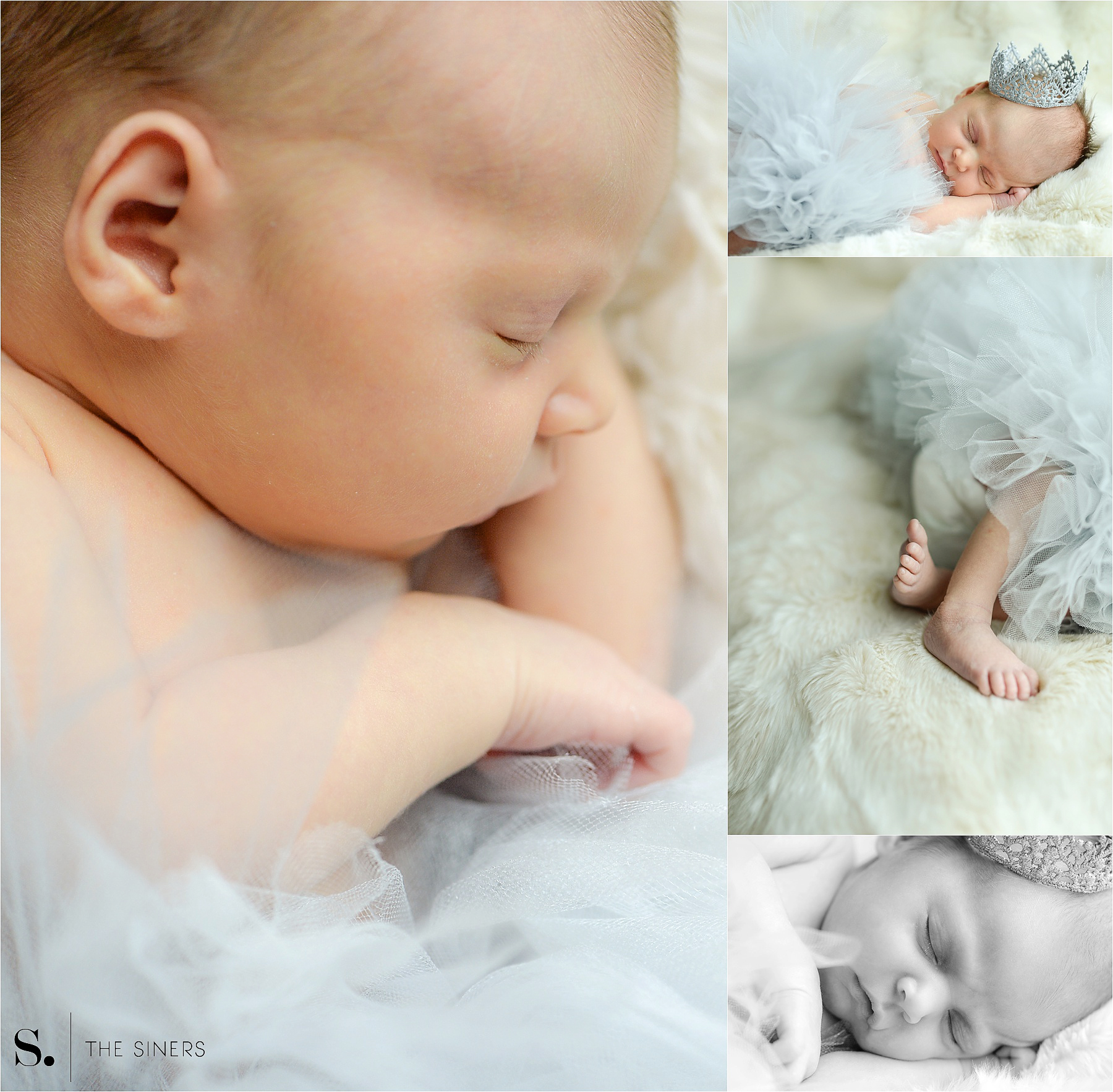Shevlot Newborns Blog_0006