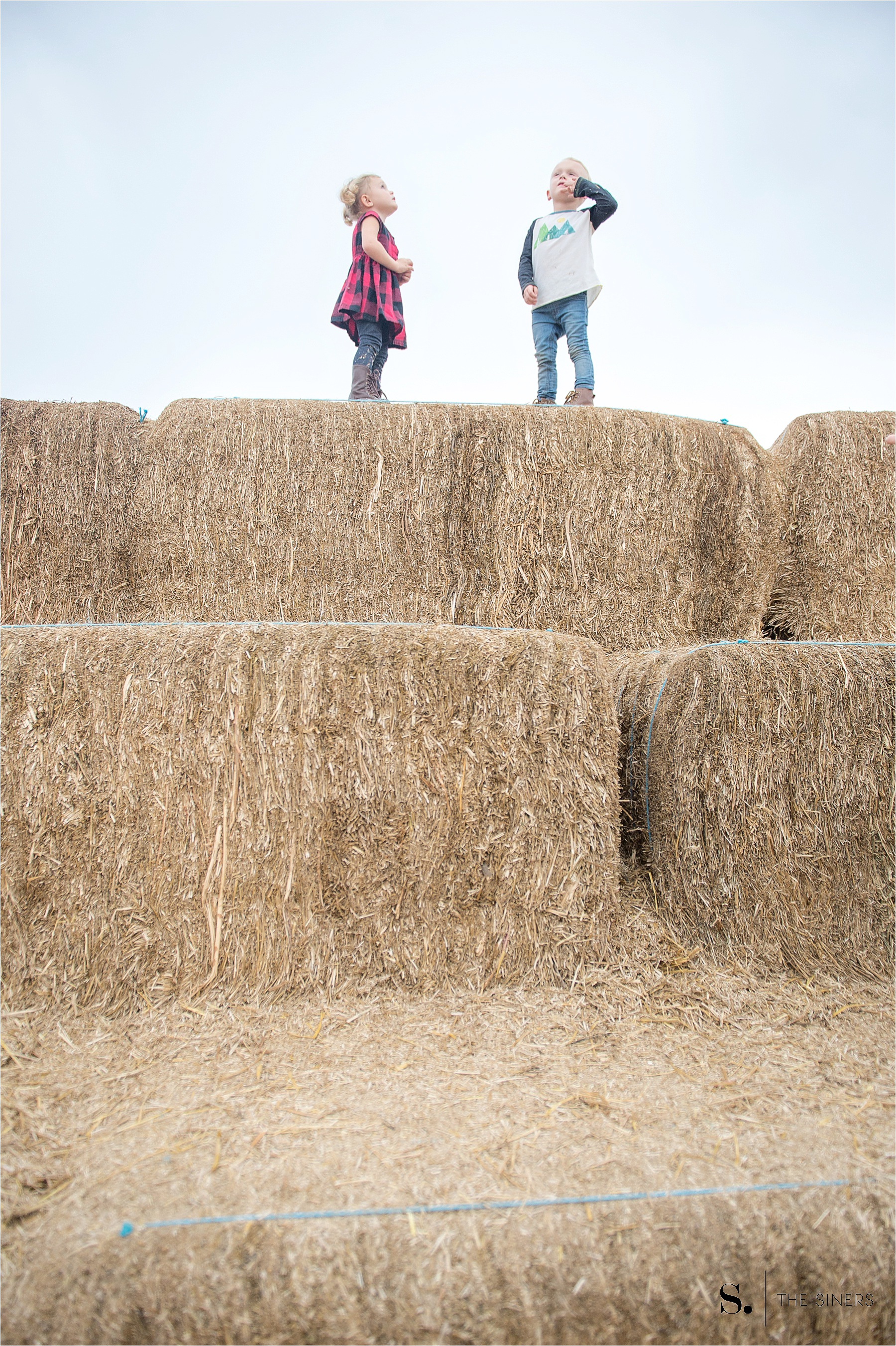 The Siners Pumpkin Patch 20