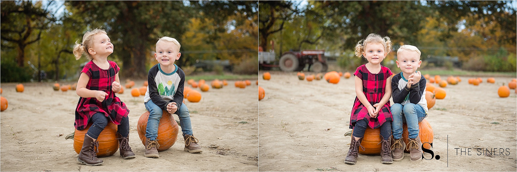 The Siners Pumpkin Patch 4