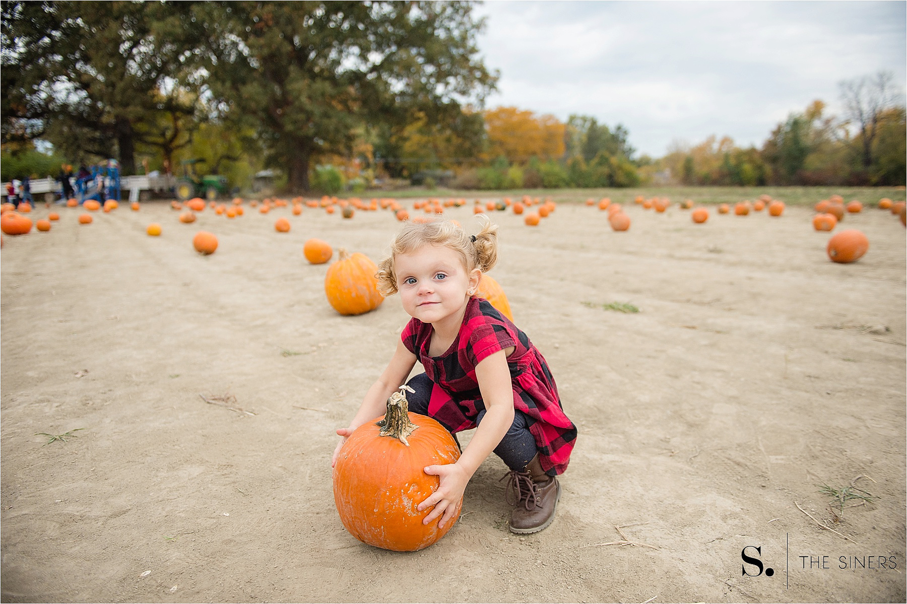 The Siners Pumpkin Patch 5