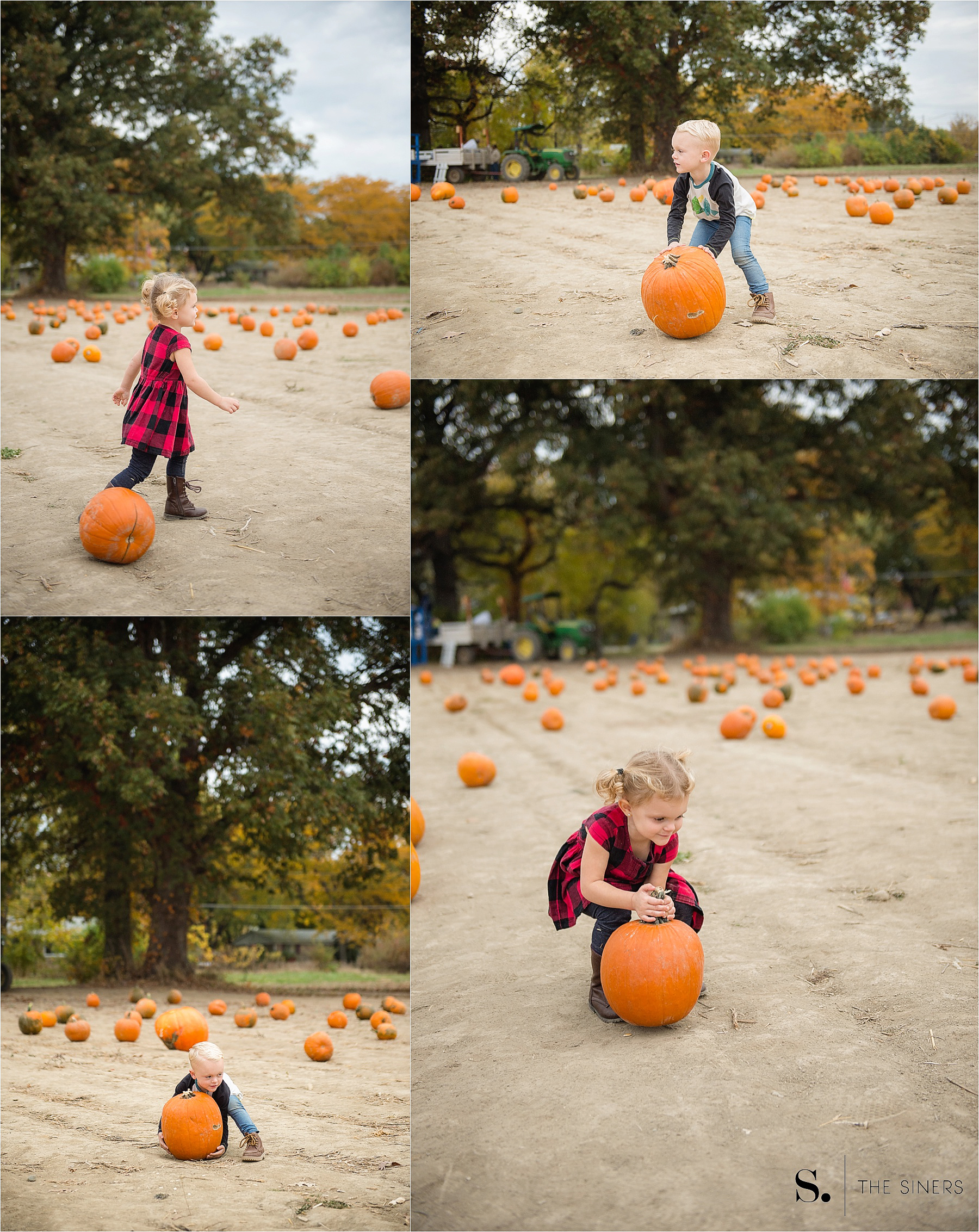 The Siners Pumpkin Patch 6
