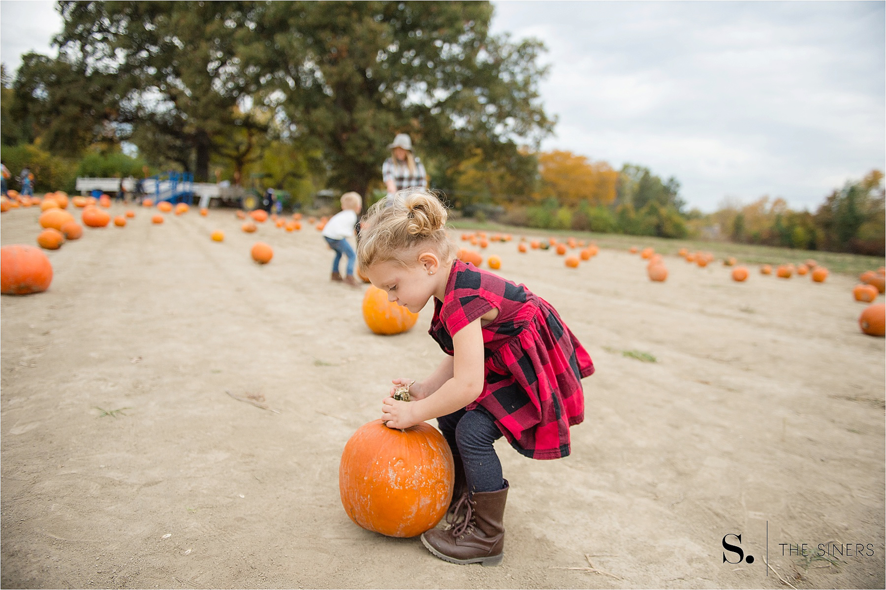 The Siners Pumpkin Patch 7