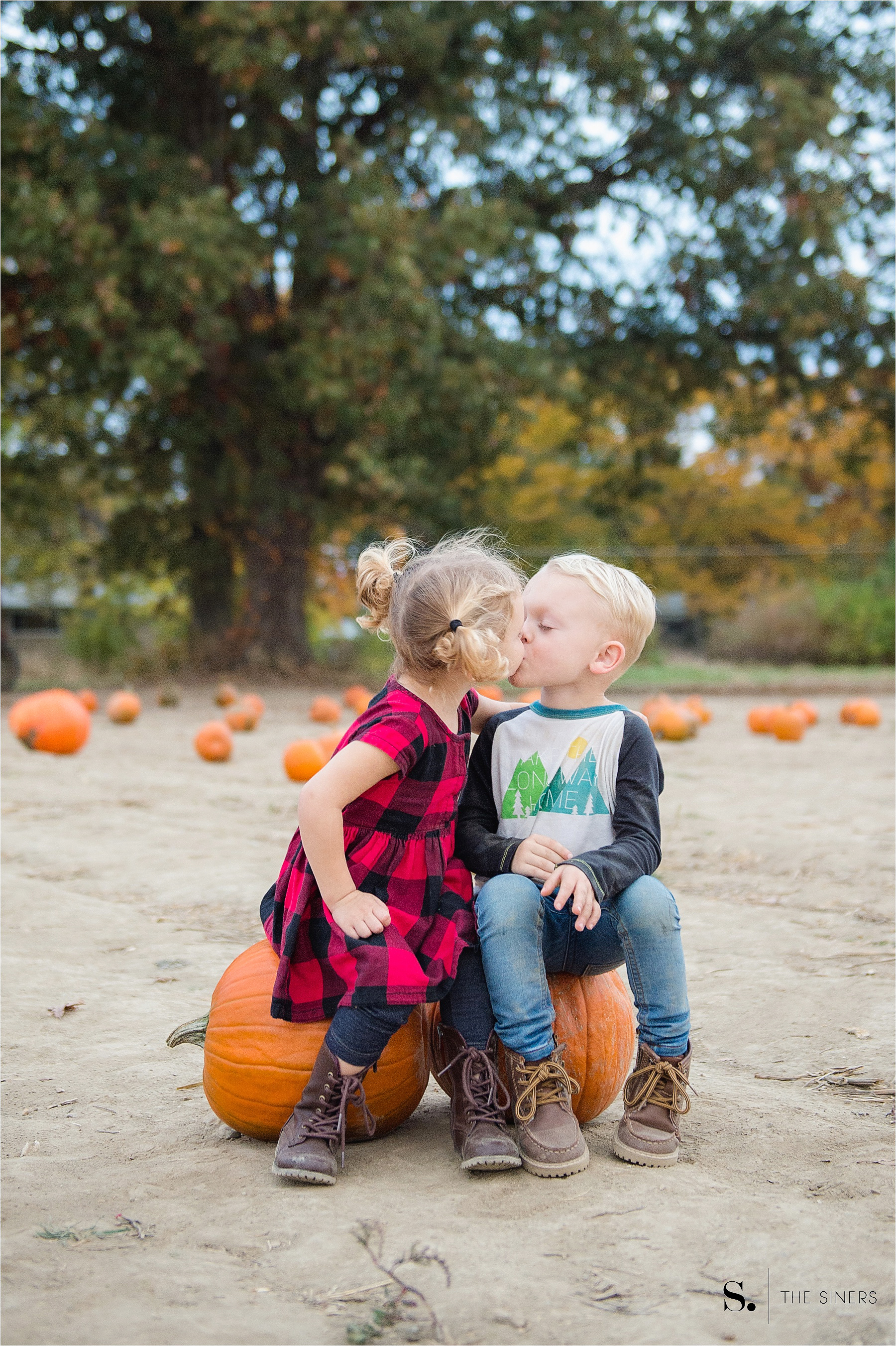 The Siners Pumpkin Patch 8