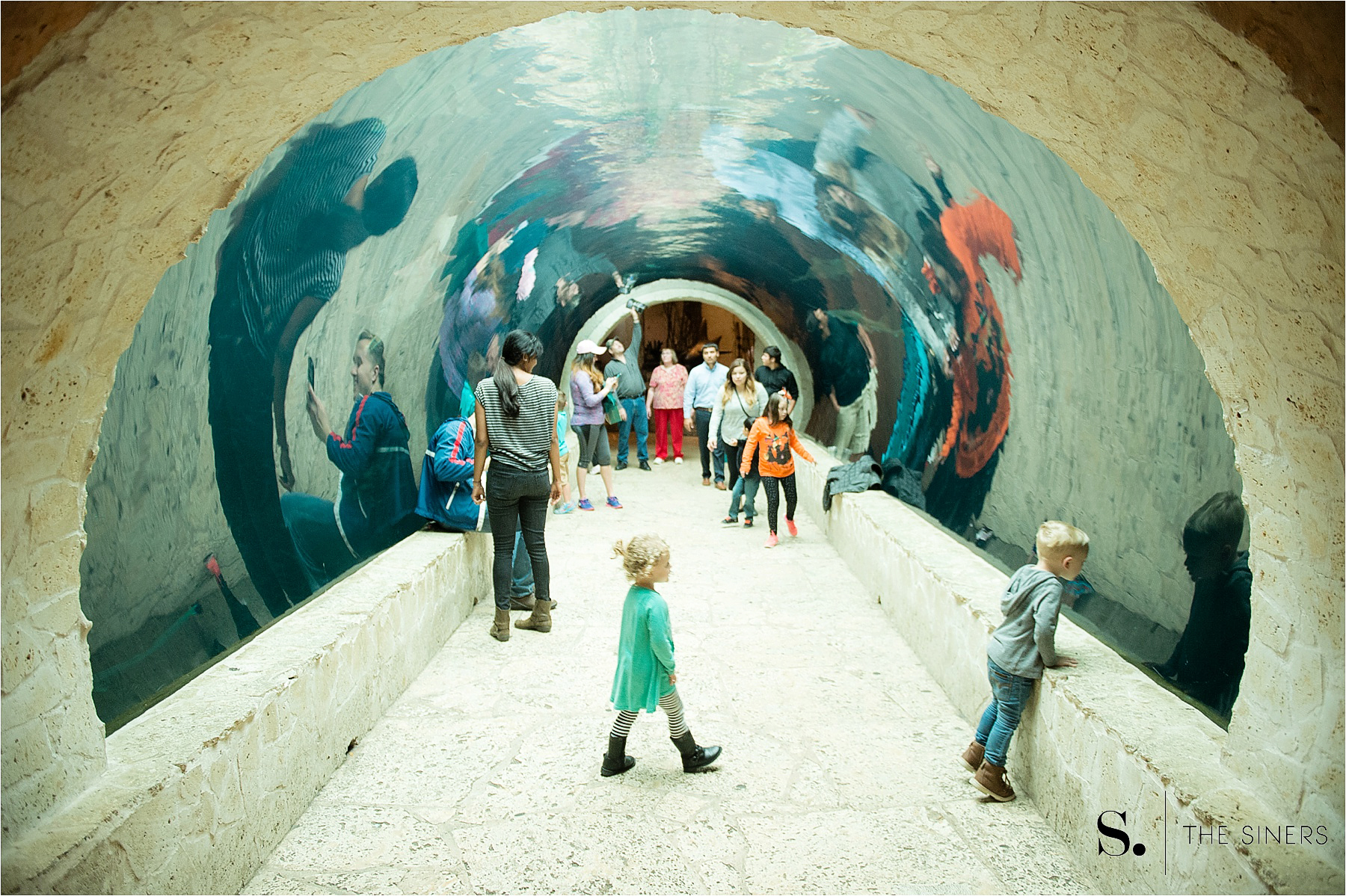 Dallas Aquarium The Siners_0004