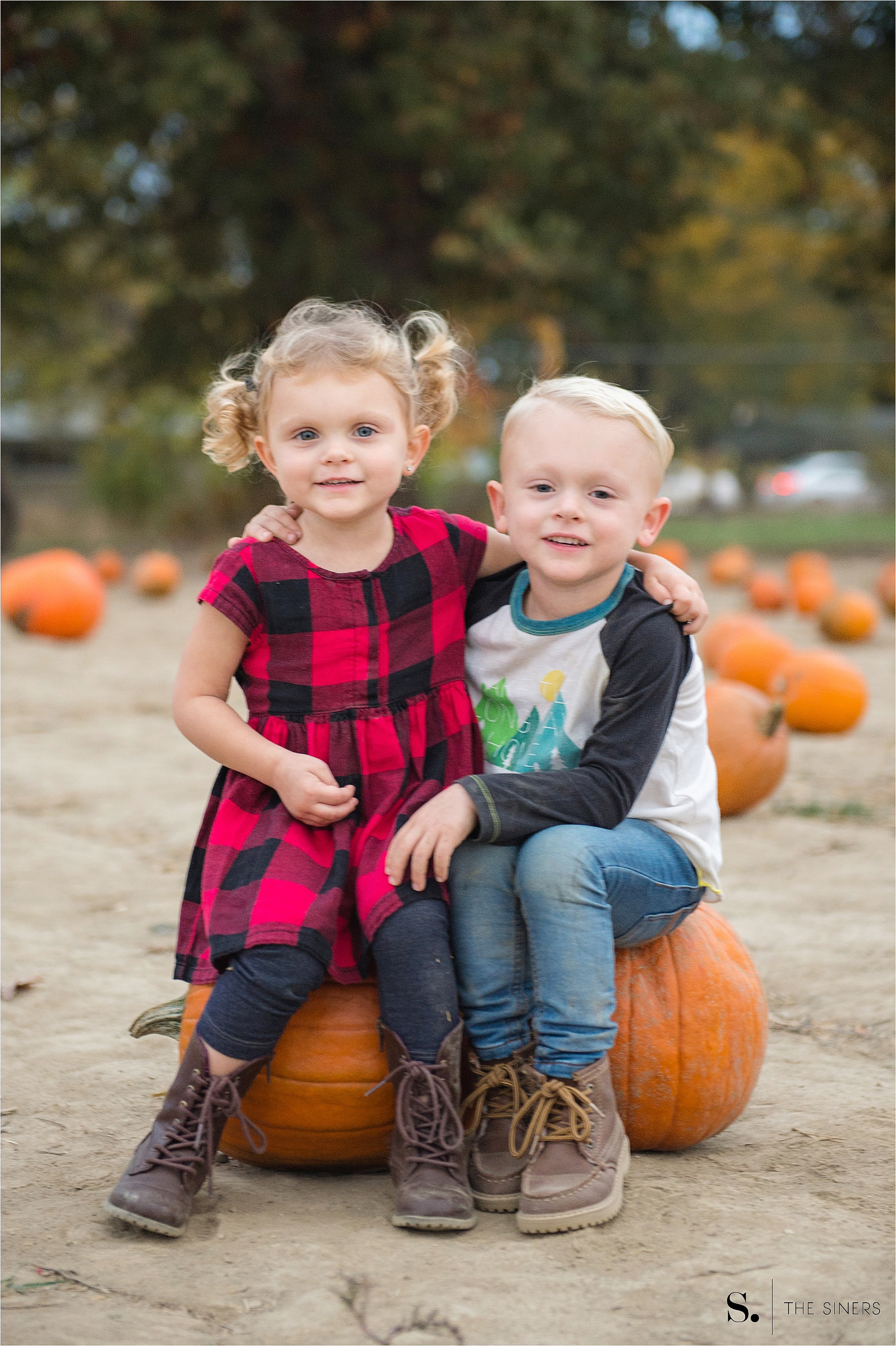 The Siners Pumpkin Patch 1